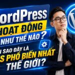 wordpress-hoat-dong-nhu-the-nao